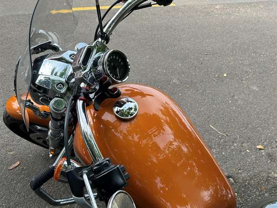 HARLEY-DAVIDSON-SPORTSTER 1200 CUSTOM CA LIMITED HARLEY-DAVIDSON-SPORTSTER 1200 CUSTOM CA LIMITED-2014