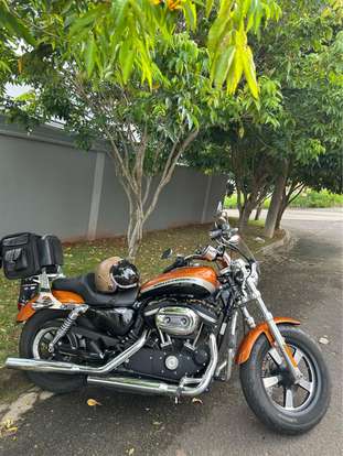 HARLEY-DAVIDSON-SPORTSTER 1200 CUSTOM CA LIMITED-2014