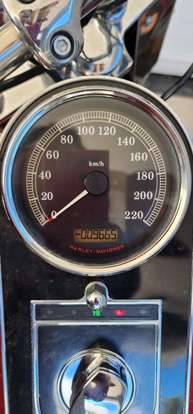 HARLEY-DAVIDSON-SOFTAIL DELUXE HARLEY-DAVIDSON-SOFTAIL DELUXE-2015