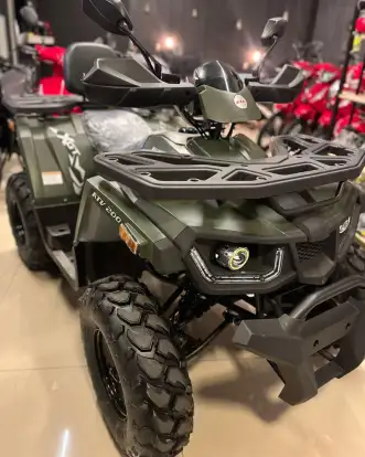 SHINERAY-ATV 250 SHINERAY-ATV 250-2024