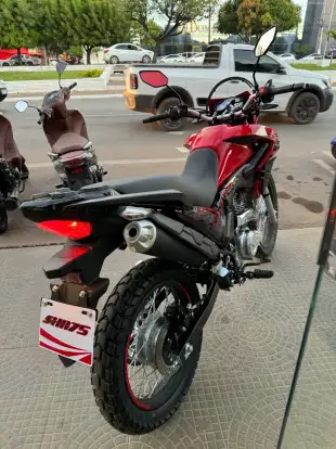SHINERAY-SHI 175-2024