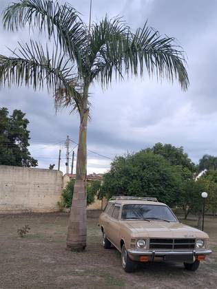 CHEVROLET CARAVAN 2.5 L 8V GASOLINA 2P MANUAL