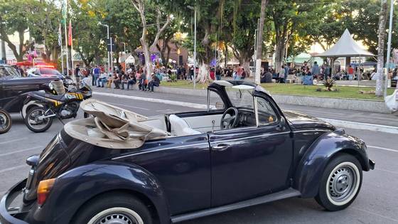 VOLKSWAGEN FUSCA 1.6 8V GASOLINA 2P MANUAL