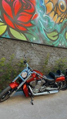 HARLEY-DAVIDSON V-ROD MUSCLE 