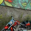 HARLEY-DAVIDSON V-ROD MUSCLE HARLEY-DAVIDSON V-ROD MUSCLE