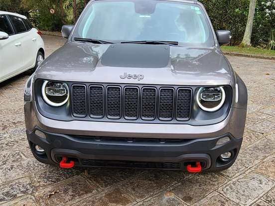 JEEP-RENEGADE-2.0 16V TURBO DIESEL TRAILHAWK 4P 4X4 AUTOMÁTICO JEEP-RENEGADE-2019