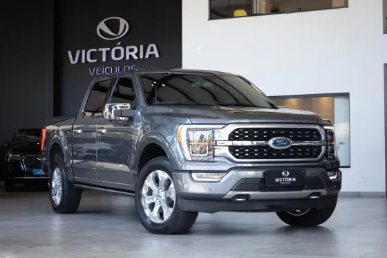 FORD F-150 5.0 V8 GASOLINA CD PLATINUM FX4 AUTOMÁTICO