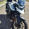 TRIUMPH TIGER 900 GT TRIUMPH TIGER 900 GT