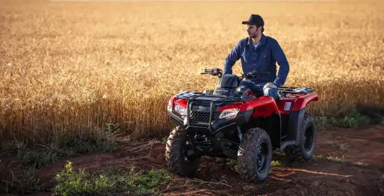 HONDA-TRX 420 FOURTRAX 4X4-2024