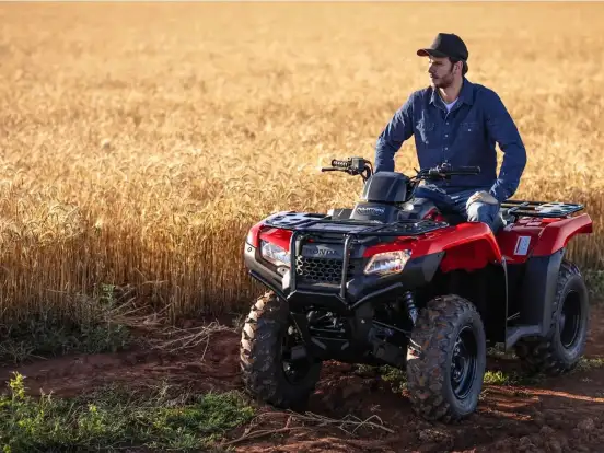 HONDA-TRX 420 FOURTRAX 4X4 HONDA-TRX 420 FOURTRAX 4X4-2024