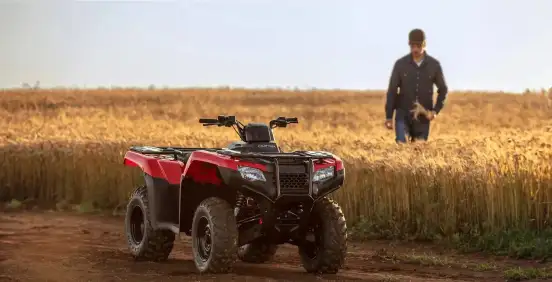 HONDA-TRX 420 FOURTRAX 4X4-2024