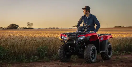 HONDA-TRX 420 FOURTRAX 4X4-2024