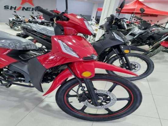 SHINERAY-PHOENIX S 50 SHINERAY-PHOENIX S 50-2024