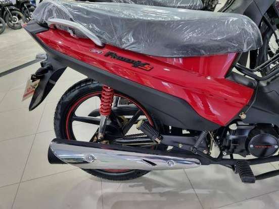 SHINERAY-PHOENIX S 50 SHINERAY-PHOENIX S 50-2024
