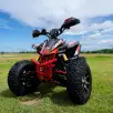SHINERAY ATV 250 SHINERAY ATV 250