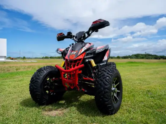 SHINERAY-ATV 250 SHINERAY-ATV 250-2025