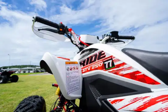 SHINERAY-ATV 250-2025