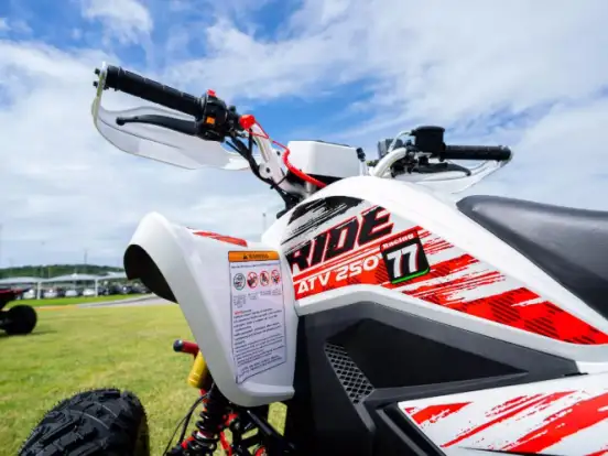 SHINERAY-ATV 250 SHINERAY-ATV 250-2025