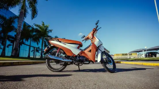SHINERAY-PHOENIX S 50 SHINERAY-PHOENIX S 50-2025