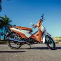 SHINERAY PHOENIX S 50 SHINERAY PHOENIX S 50
