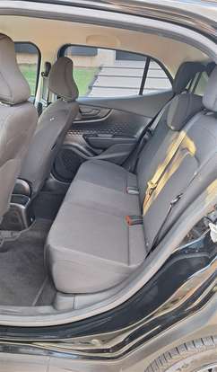 FIAT-PULSE-2024