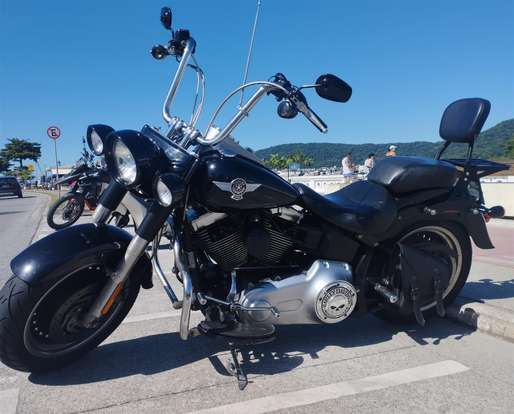 HARLEY-DAVIDSON-SOFTAIL FAT BOY SPECIAL HARLEY-DAVIDSON-SOFTAIL FAT BOY SPECIAL-2012