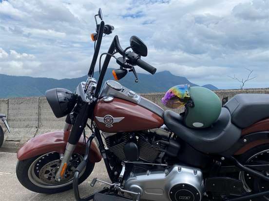 HARLEY-DAVIDSON-SOFTAIL FAT BOY SPECIAL HARLEY-DAVIDSON-SOFTAIL FAT BOY SPECIAL-2017