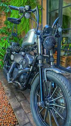HARLEY-DAVIDSON-SPORTSTER IRON 883-2010
