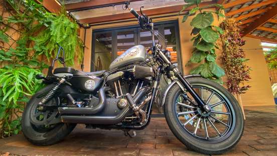HARLEY-DAVIDSON-SPORTSTER IRON 883-2010