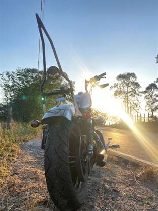 HARLEY-DAVIDSON-SPORTSTER IRON 883-2010