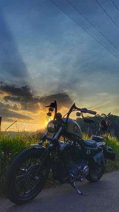 HARLEY-DAVIDSON-SPORTSTER IRON 883-2010