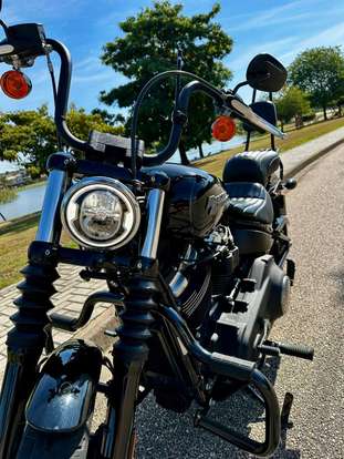 HARLEY-DAVIDSON-SOFTAIL STREET BOB-2019