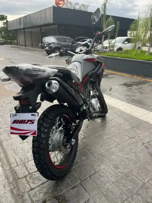 SHINERAY-SHI 175-2025