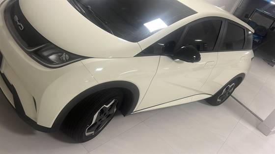 BYD DOLPHIN 44,9 KW ELÉTRICO