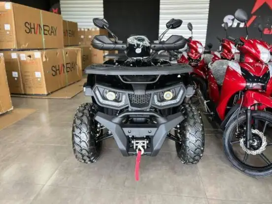 SHINERAY-ATV 250-2025