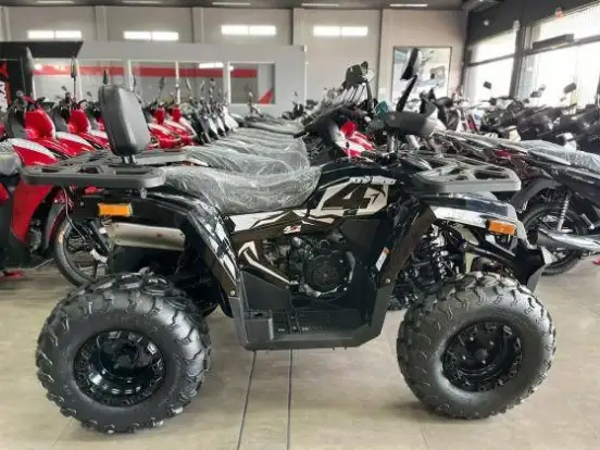 SHINERAY-ATV 250 SHINERAY-ATV 250-2025