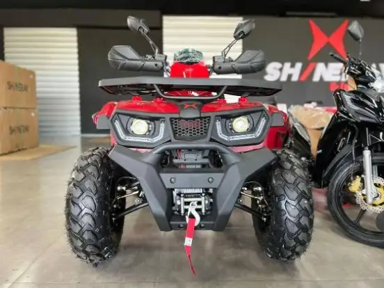 SHINERAY-ATV 250 SHINERAY-ATV 250-2025