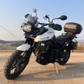 TRIUMPH TIGER 800 XR TRIUMPH TIGER 800 XR