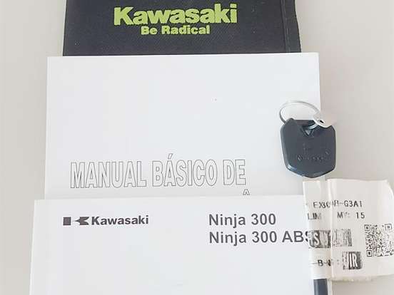 KAWASAKI-NINJA 300 ABS KAWASAKI-NINJA 300 ABS-2015