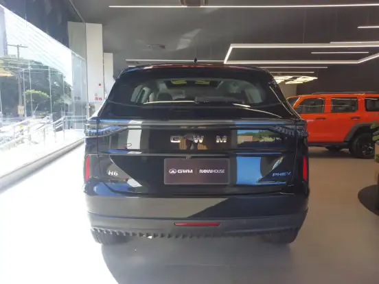 GWM-HAVAL H6-1.5 PHEV19 E-TRACTION GWM-HAVAL H6-2025