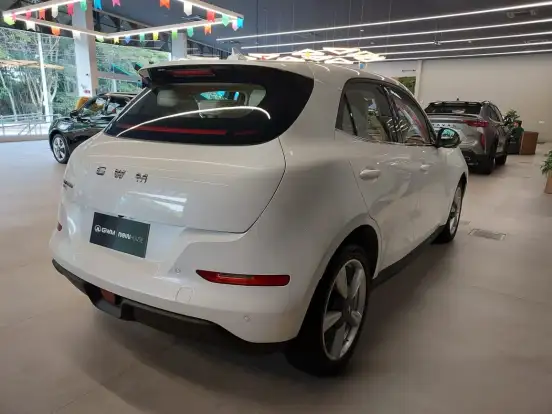 GWM-ORA 03-2025