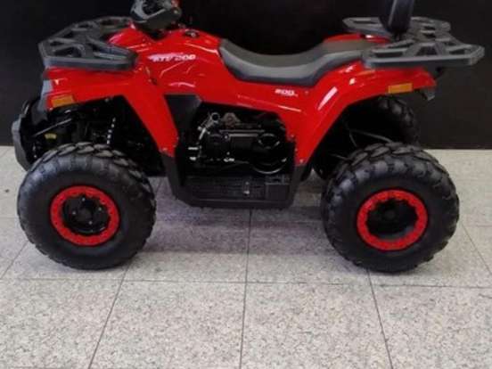 SHINERAY-ATV 250 SHINERAY-ATV 250-2025
