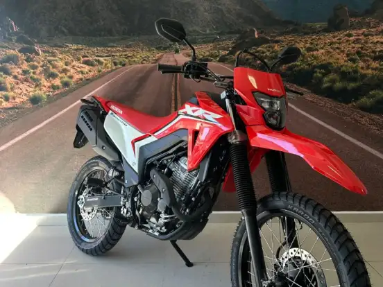 HONDA-XR 300L TORNADO HONDA-XR 300L TORNADO-2025