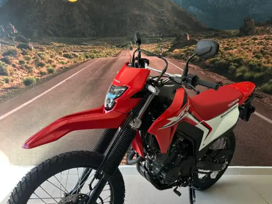 HONDA-XR 300L TORNADO HONDA-XR 300L TORNADO-2025