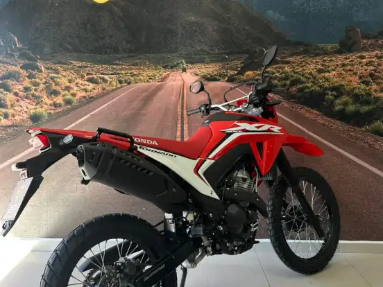 HONDA-XR 300L TORNADO HONDA-XR 300L TORNADO-2025
