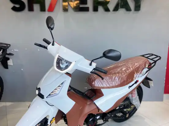 SHINERAY-PHOENIX S 50 SHINERAY-PHOENIX S 50-2025