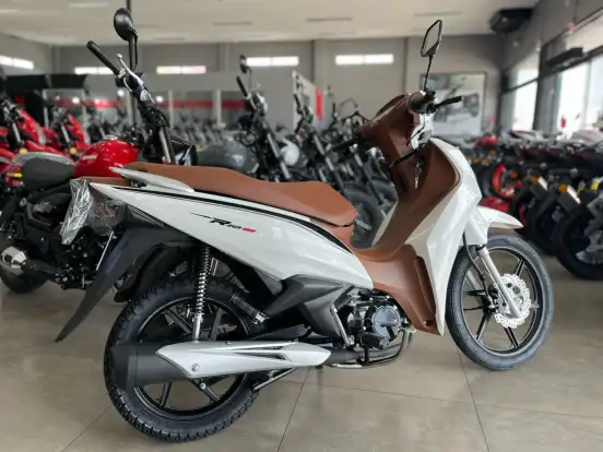 SHINERAY-RIO 125 SHINERAY-RIO 125-2025