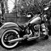 HARLEY-DAVIDSON SOFTAIL HERITAGE CLASSIC HARLEY-DAVIDSON SOFTAIL HERITAGE CLASSIC