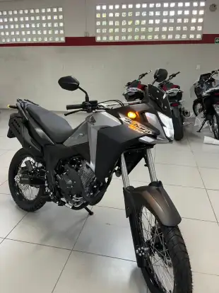 HONDA-XRE 300 SAHARA-2025