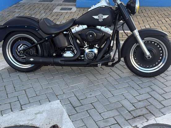 HARLEY-DAVIDSON-SOFTAIL FAT BOY SPECIAL HARLEY-DAVIDSON-SOFTAIL FAT BOY SPECIAL-2015